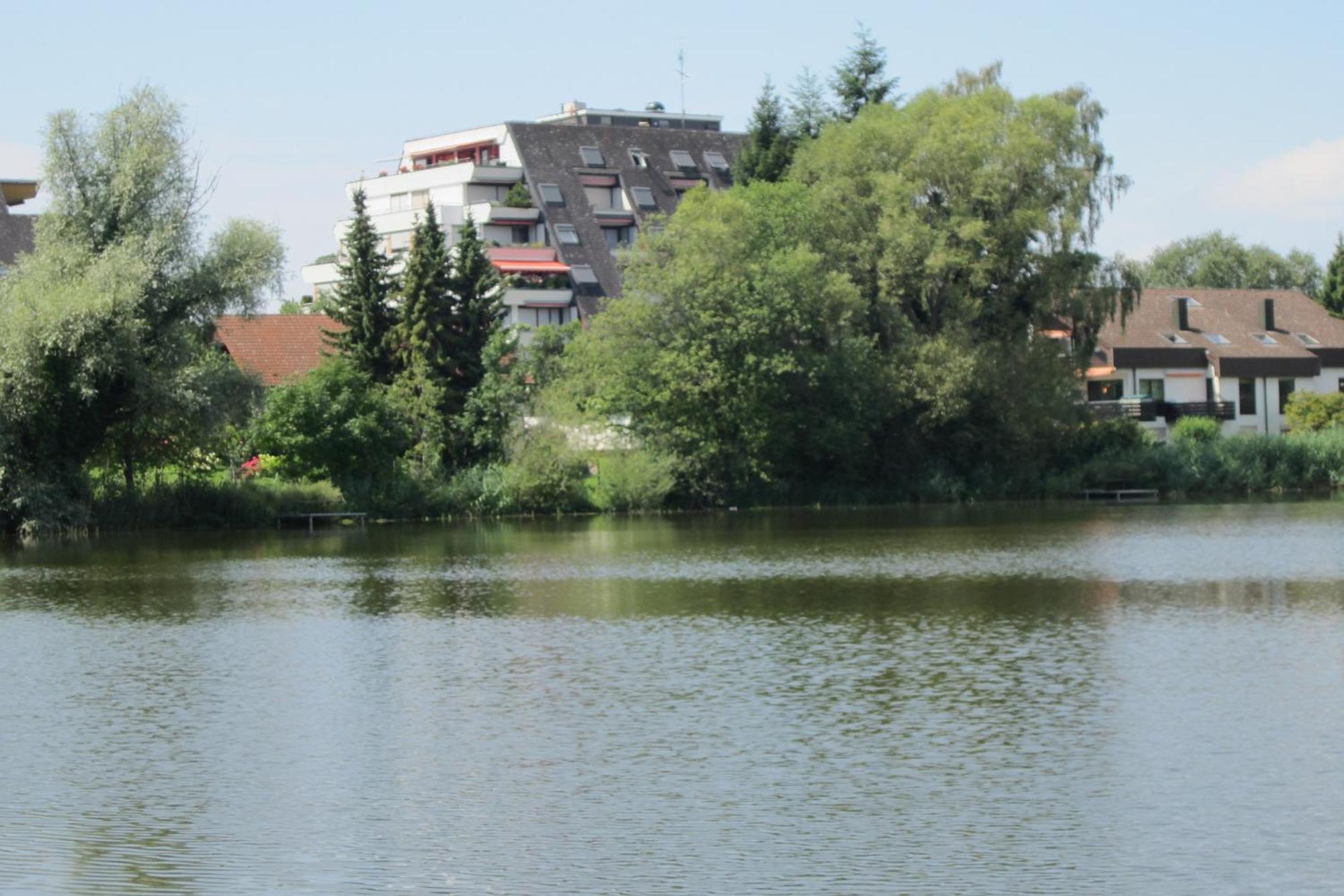 Ferienwohnung Am Weiher Meersburg Eksteriør billede